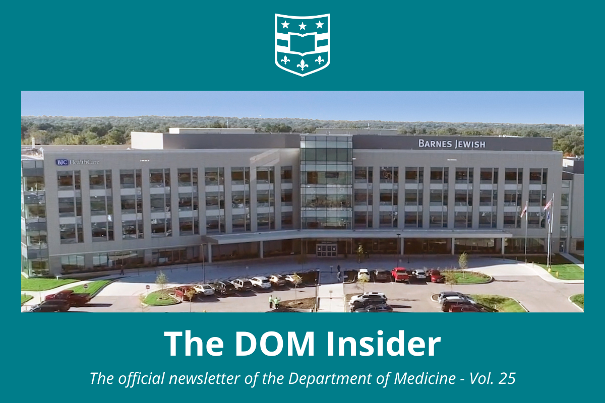 The New Issue of DOM Insider is Out