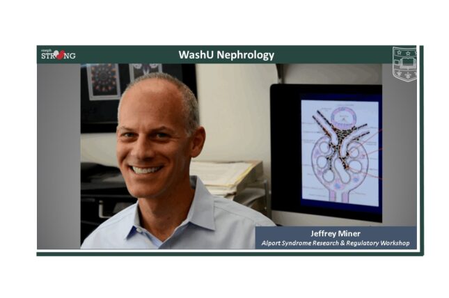 Jeffrey Miner Among Leading Experts at Alport Syndrome Research & Regulatory Workshop
