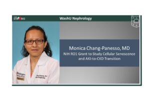 Monica Chang-Panesso Awarded RO1 Grant to Study Cellular Senescence and AKI-to-CKD Transition