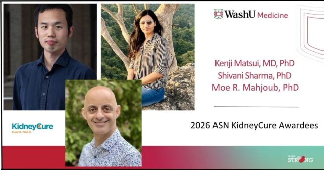 Three WashU Nephrology Investigators – Matsui, Sharma, and Mahjoub – Receive 2026 KidneyCure Awards