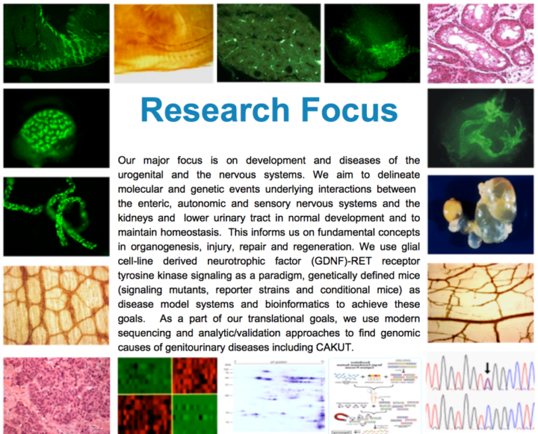 Jain Lab Division of Nephrology
