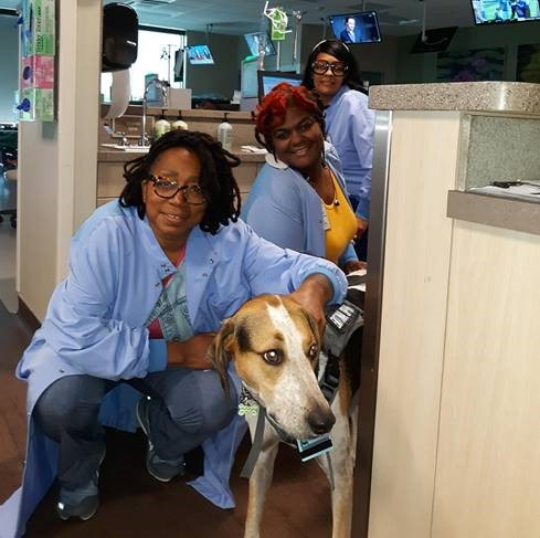 dialysis staff with therapy dog