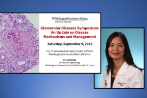 Dr. Tingting Li to Chair Inaugural WashU Nephrology Glomerular Diseases Symposium