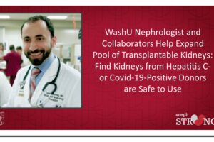 Expanding the Pool of Transplantable Kidneys: WashU Research Suggests Kidneys from Hepatitis C- or COVID-19-Positive Donors are Safe to Use