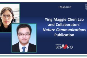 Ying Maggie Chen Lab and Collaborators Uncover Biotherapeutic Properties of MANF Protein