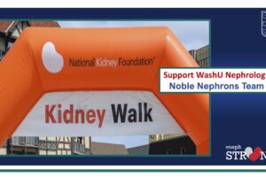 Support Our “Noble Nephrons” Team at the 2024 NKF Kidney Walk