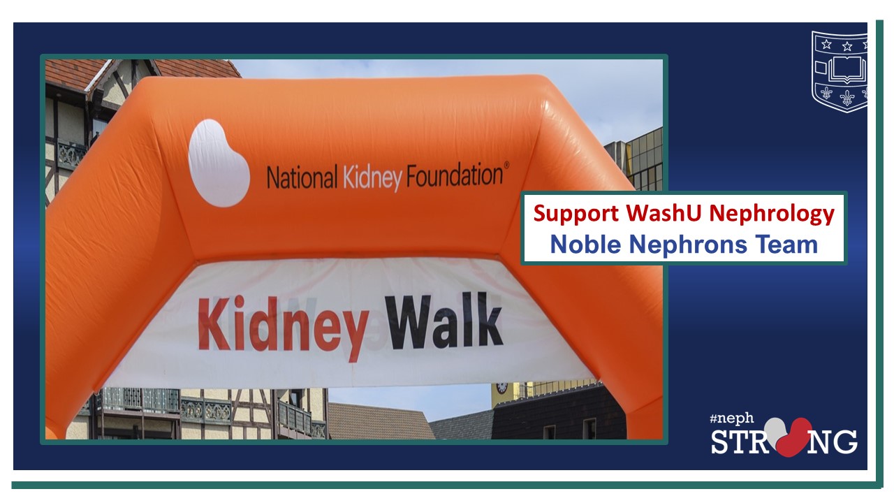 Support Our “Noble Nephrons” Team at the 2024 NKF Kidney Walk