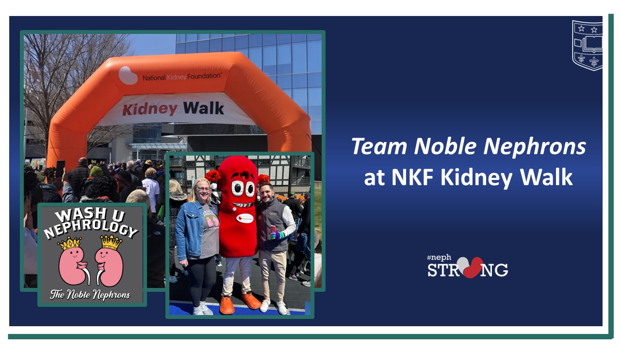 “A Beautiful Day with Our Kidney Community” – Noble Nephrons Raise Nearly $5000 for Patients with Kidney Disease