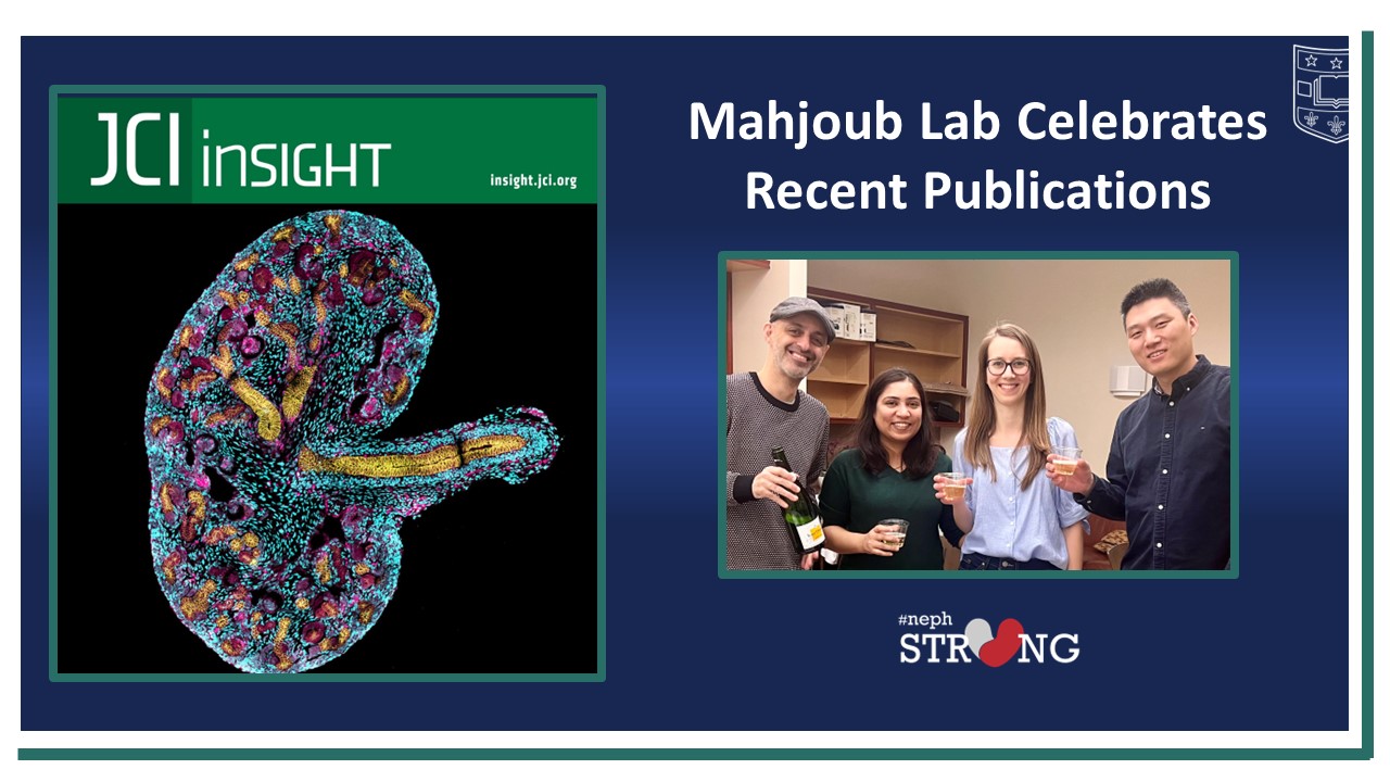 Mahjoub Lab Celebrates Recent Publications on Critical Role of Centrosomes in Kidney Development and Function