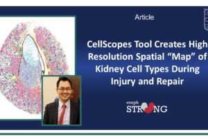 First Study from WashU Kidney O’Brien Center for CKD Research Published in Nature Communications