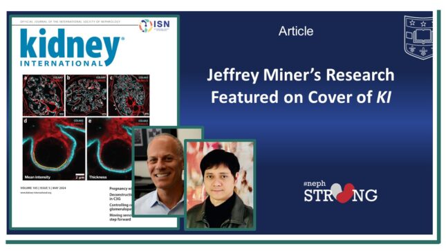 Dr. Jeffrey Miner’s Research Group Lands KI Journal Cover