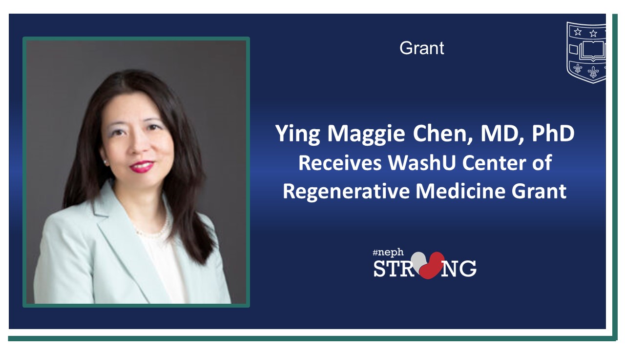 Ying Maggie Chen Receives Grant from WashU Center of Regenerative Medicine