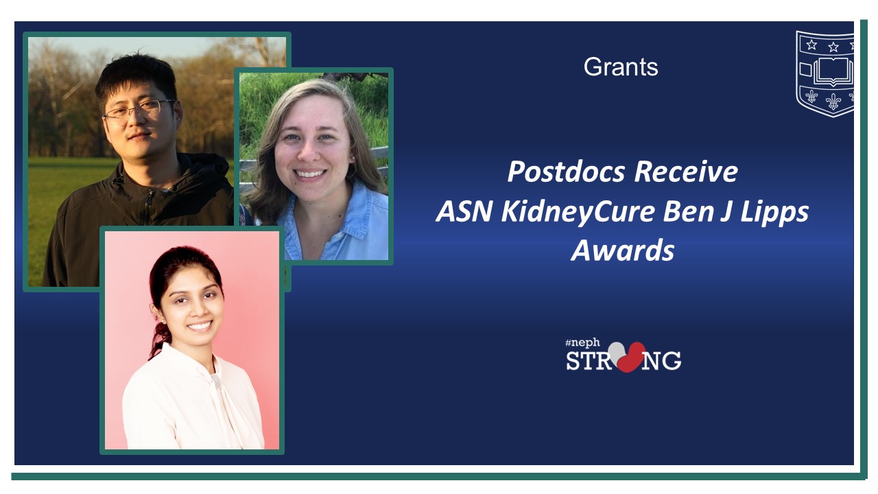 Postdoc Scholars Chenjian Gu, Megan Noonan and Poornima D. E. Weerasinghe-Mudiyanselage Awarded ASN KidneyCure Ben J. Lipps Grants