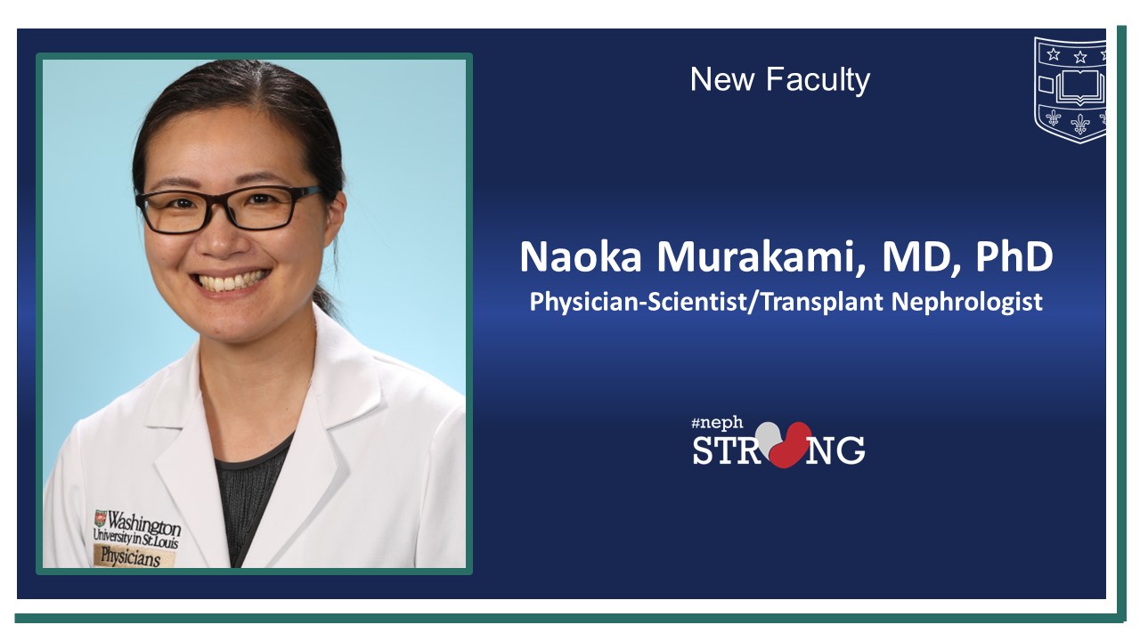 Physician-Scientist and Transplant Nephrologist Naoka Murakami Joins WashU Nephrology Faculty